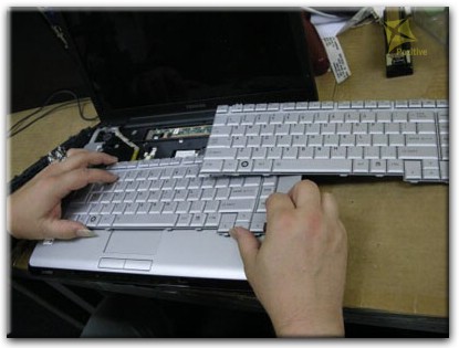 Ремонт клавиатуры на ноутбуке Toshiba в Химках
