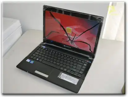 Замена матрицы Packard Bell в Химках